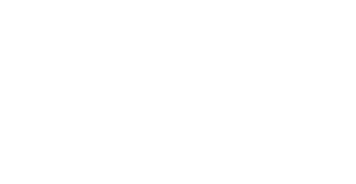 Flash-art-shop